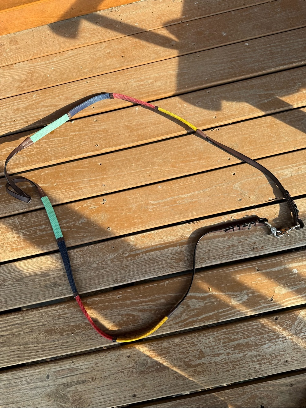 Rainbow reins